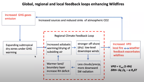 A graph detailing the global, regional, and local feedback loops enhancing wildfires