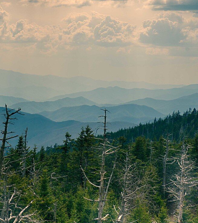 Acid Rain Scenes from Great Smoky Mountains National Park - Clingmans Dome