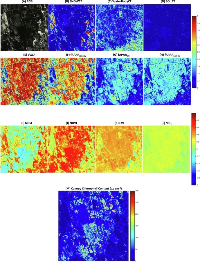 Figure. The 6 × 6 km2 Howland forest area in Maine: (A) the true color image obtained by the EO-1 Hyperion on March 5, 2014 (DOY 64) at a spatial resolution of 30 m; and maps of (B) snow cover fraction (SNOWCF); (C) surface water cover fraction (WaterBodyCF); (D)soil cover fraction (SOILCF); (E) vegetation cover fraction (VGCF); (F) fAPARcanopy; (G) fAPARchl; (H) fAPARnon-chl.