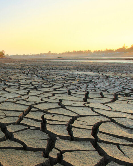 There could be around 120 million people across the globe simultaneously exposed to severe compound droughts each year by the end of the century, according to new WSU research.