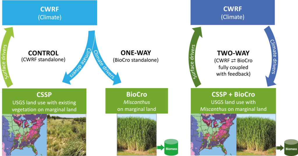 Experiment design comparing the control, one-way, and two-way simulations using the climate (CWRF) and crop (BioCro) stand-alone and coupled models.