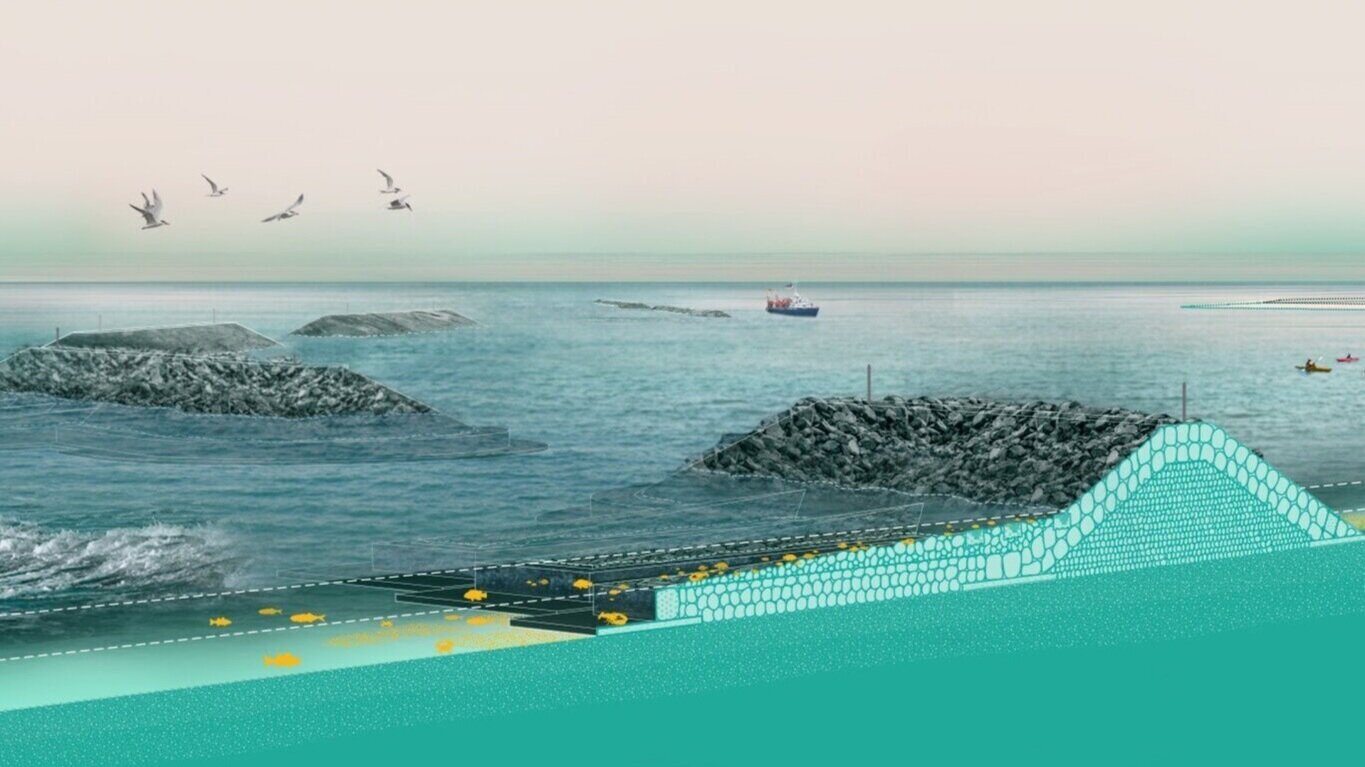 A visualization of Living Breakwaters in New York Harbor, one of the case studies in this paper.