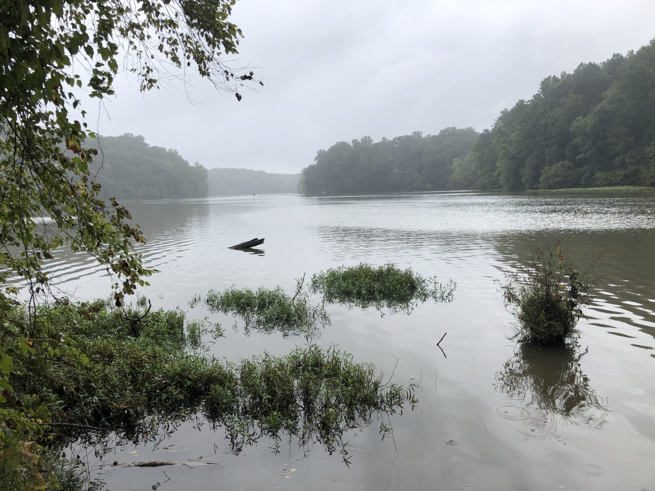 Bull Run flows into Occoquan Drinking water reservoir (Photo by Sujay Kaushal)