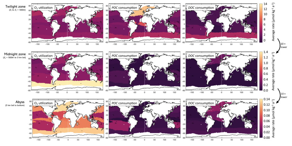 Figure: Regionally averaged rates in all regions and in three depth zones: the twilight zone (top row, Ez to Ez + 500 m), the midnight zone (middle row, Ez + 500 m to 3 km below sea level), and the abyss (bottom row, 3 km below sea level to the bottom). The bounds of the color axes are the same for each row, each being an order of magnitude smaller than that of the row above.