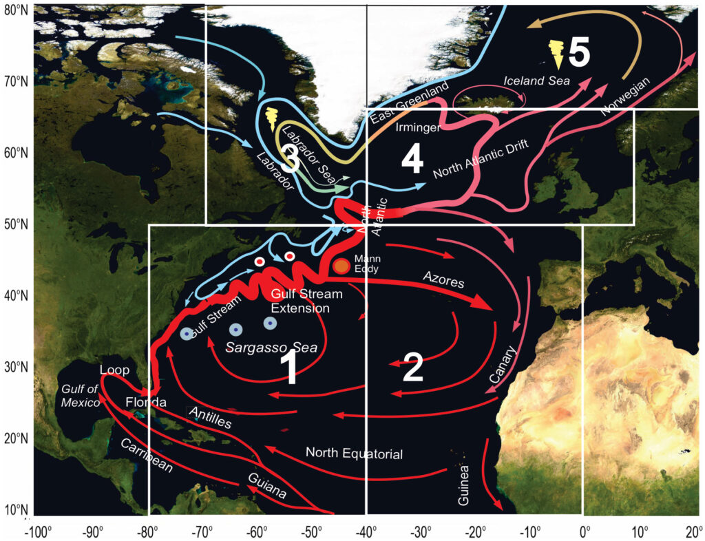 Figure 1. A scheme of the upper-layer circulation of the North Atlantic Ocean. Red – warm currents, blue – cold currents. White boxes 1 to 5 indicate five different areas of analysis where temperature, salinity, and current velocities presumably differ considerably. Comparative analysis of the decadal averages of various variables in the entire North Atlantic and each box can shed additional light on how the North Atlantic climate system functions and help better understand how stable this system is as a whole and in its segments.